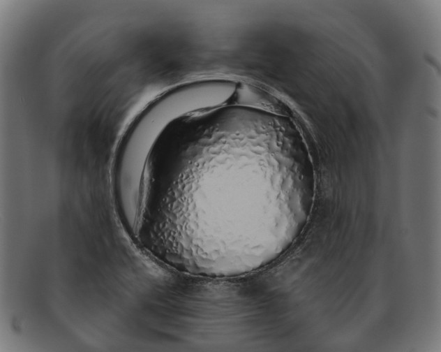 X0000091491416200709131822