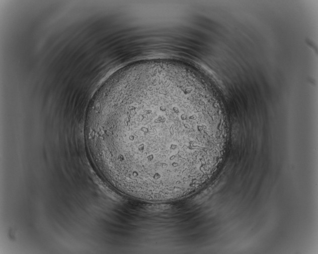 X0000091491417200709131822
