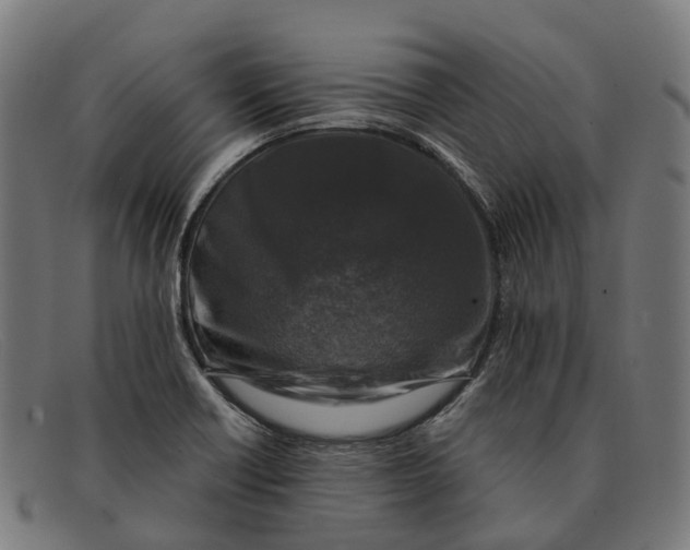 X0000091491418200709131822