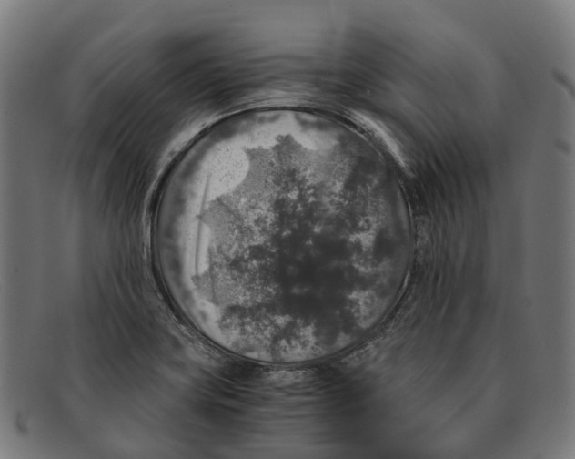 X0000091491419200709131822
