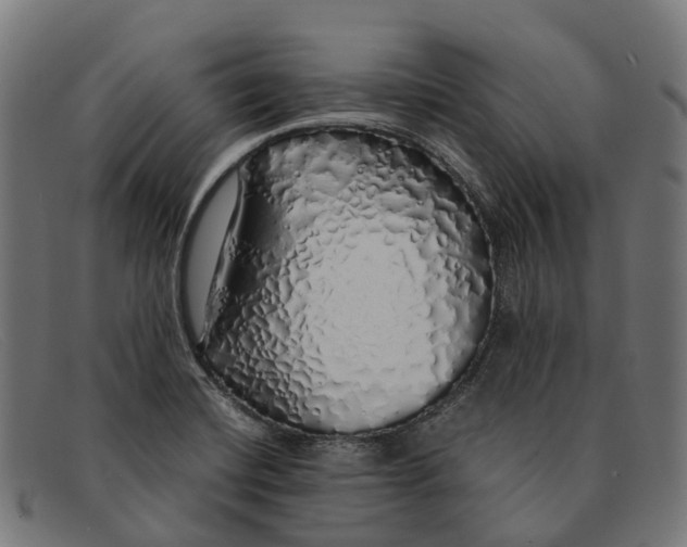 X0000091491420200709131822