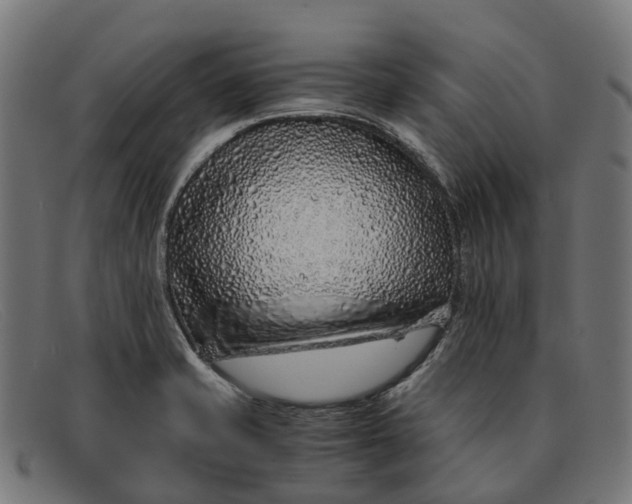 X0000091491421200709131822