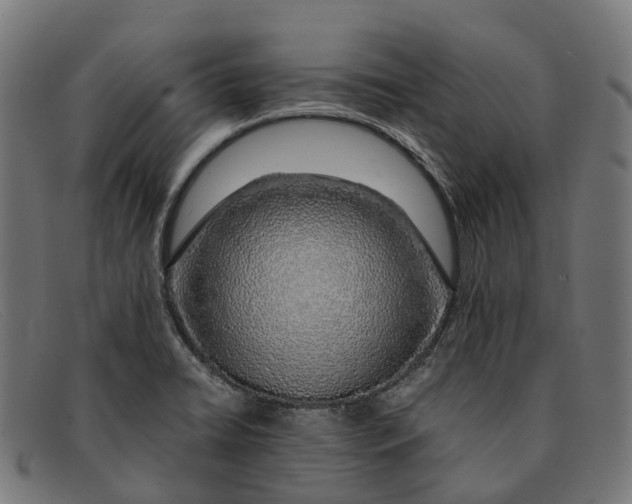 X0000091491422200709131822