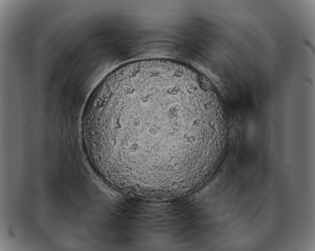 X0000091491423200709131822