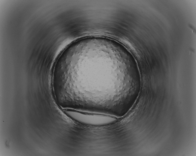X0000091491424200709131822