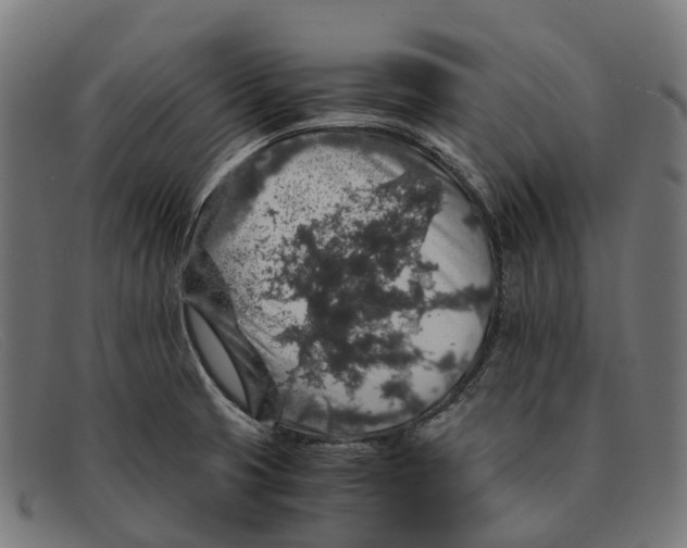 X0000091491425200709131822