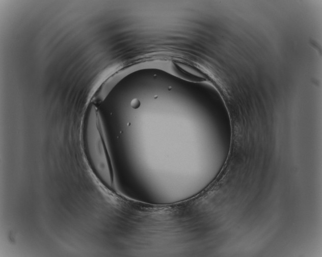 X0000091491426200709131822