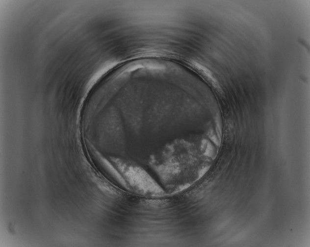 X0000091491427200709131822