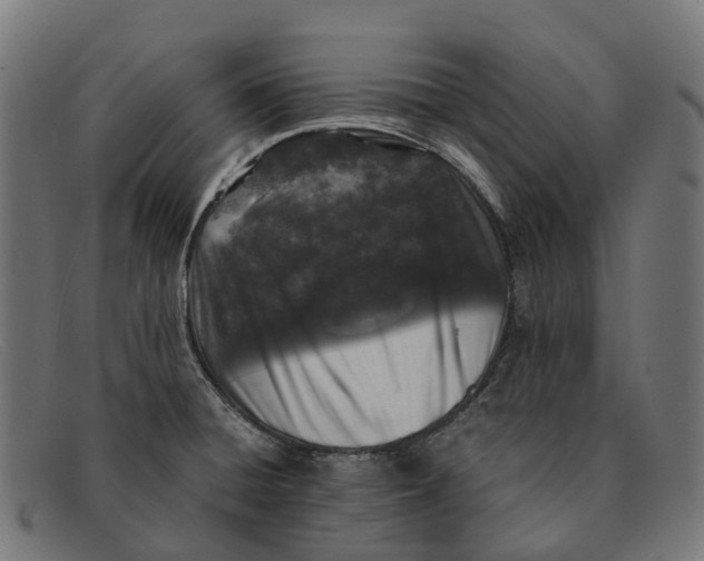 X0000091491428200709131822
