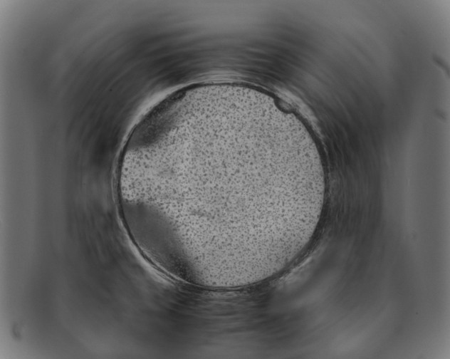 X0000091491429200709131822