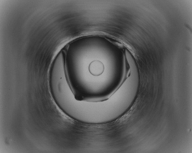 X0000091491430200709131822