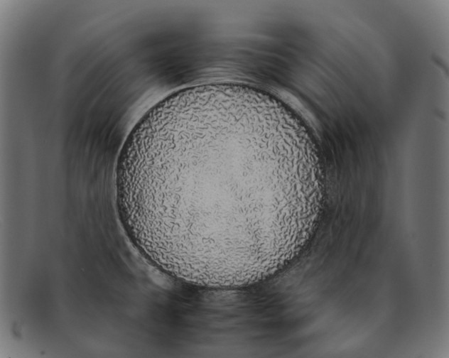 X0000091491431200709131822
