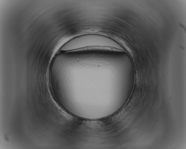 X0000091491432200709131822