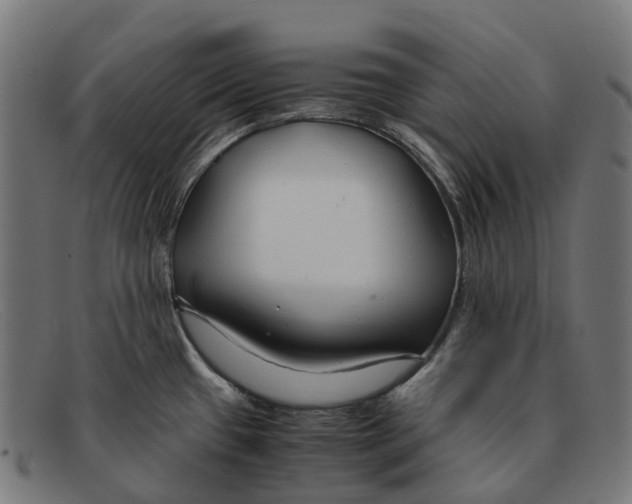 X0000091491433200709131822