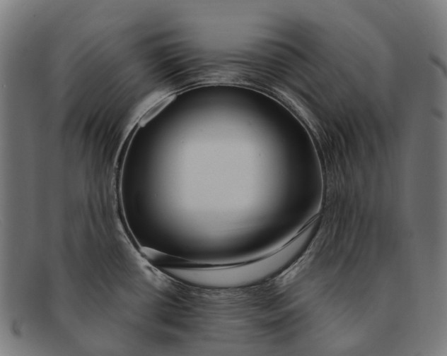 X0000091491434200709131822