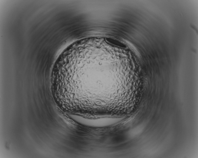 X0000091491435200709131822