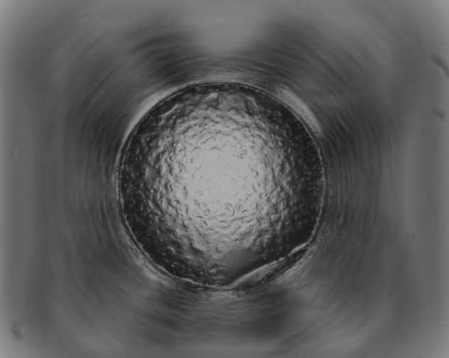X0000091491436200709131822
