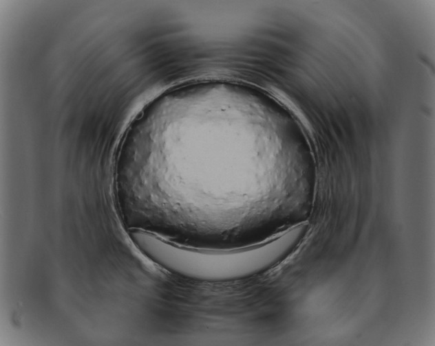 X0000091491437200709131822