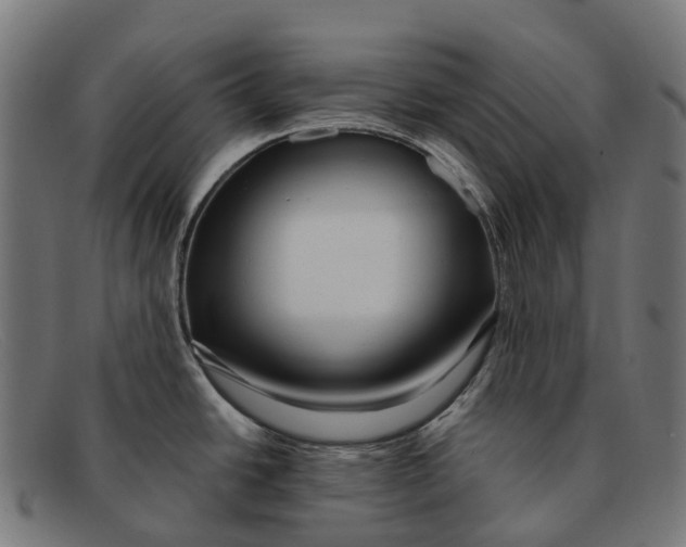 X0000091491438200709131822