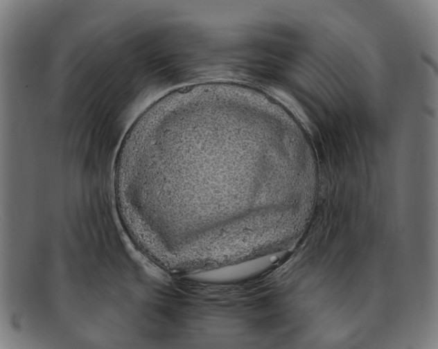 X0000091491439200709131822