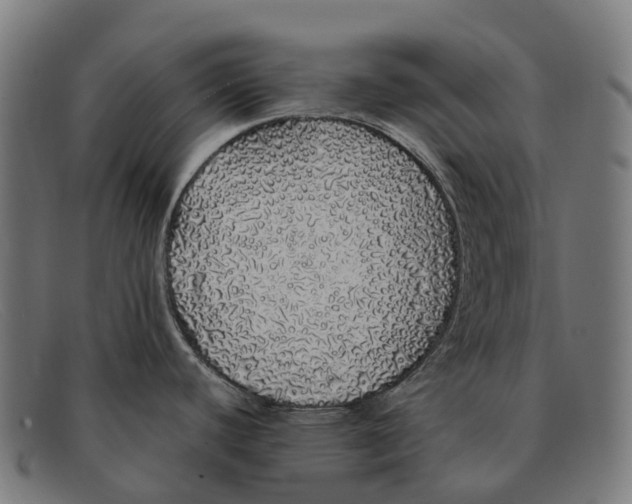 X0000091491440200709131822