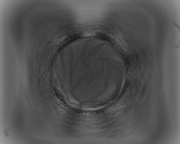 X0000091491441200709131821