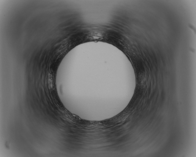 X0000091491442200709131821