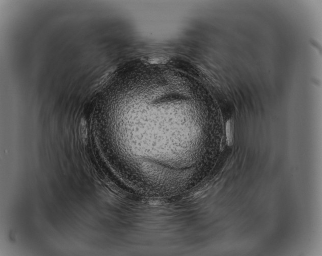 X0000091491443200709131821