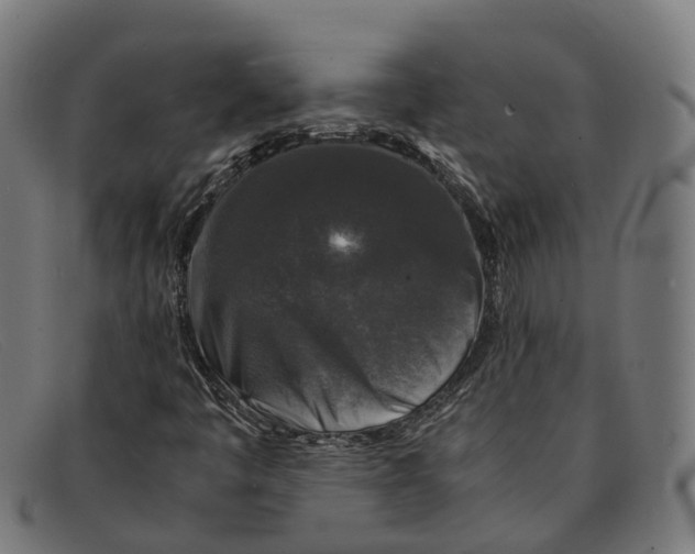 X0000091491445200709131821
