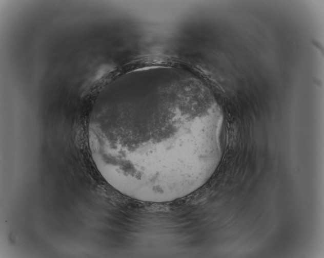 X0000091491446200709131821