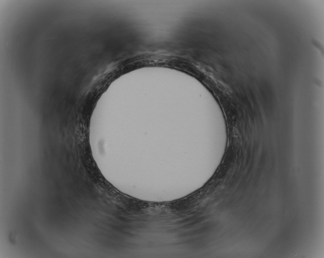 X0000091491447200709131821