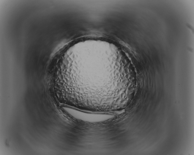 X0000091491448200709131821