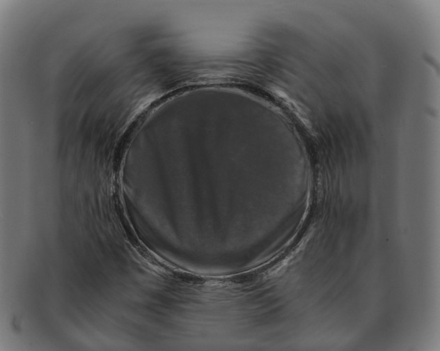 X0000091491449200709131821