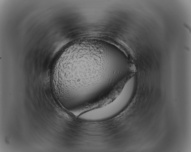 X0000091491450200709131821