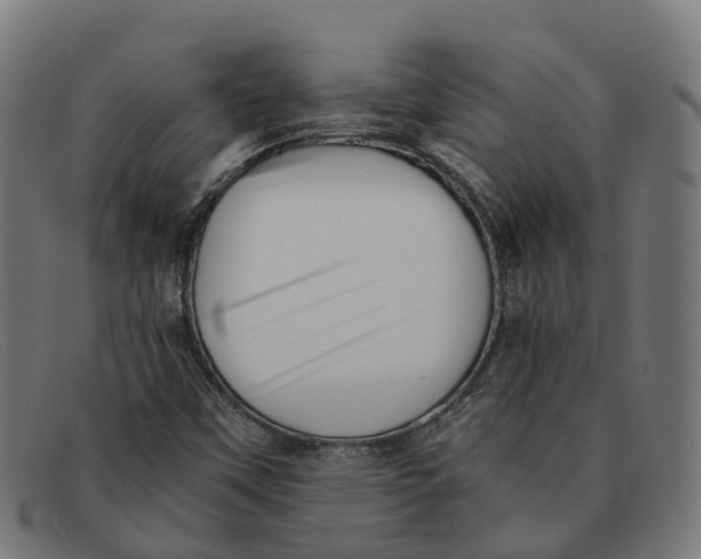 X0000091491451200709131821