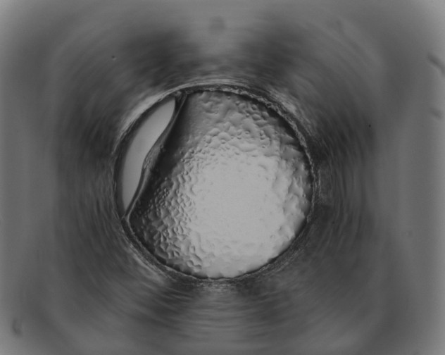 X0000091491452200709131821