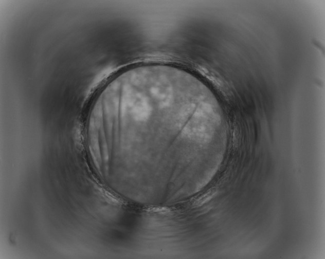 X0000091491454200709131821