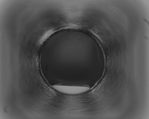 X0000091491455200709131821