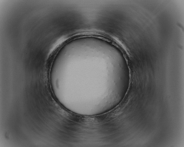 X0000091491456200709131821