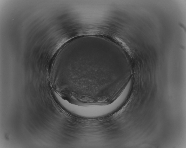 X0000091491457200709131821