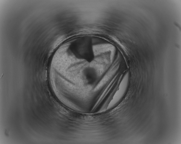 X0000091491459200709131821