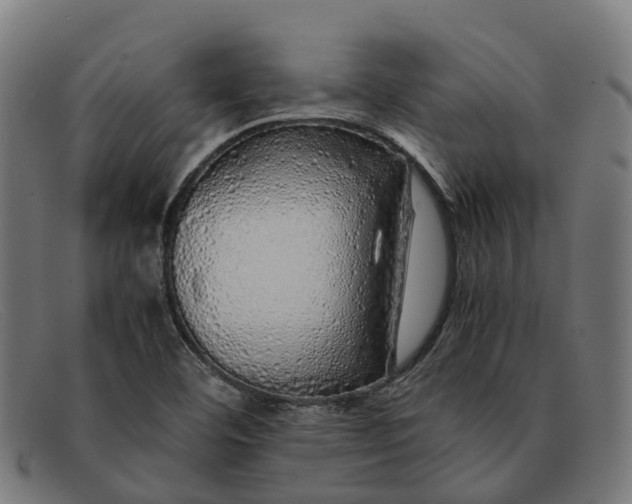 X0000091491460200709131821