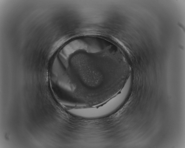X0000091491461200709131821