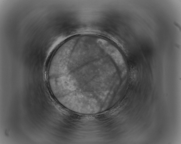 X0000091491462200709131821