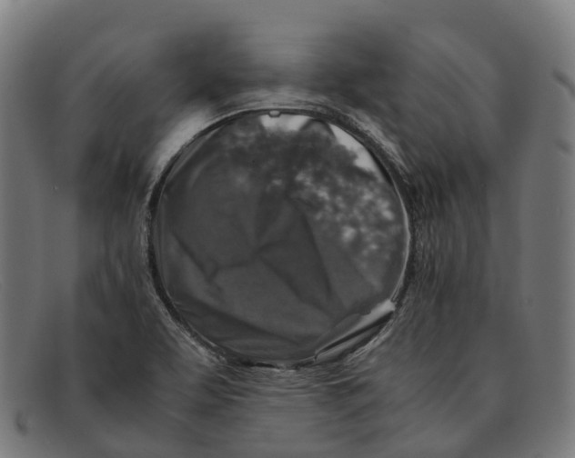 X0000091491463200709131821