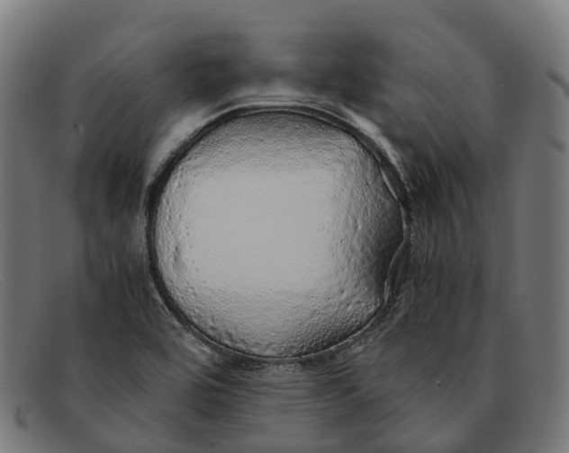 X0000091491464200709131821