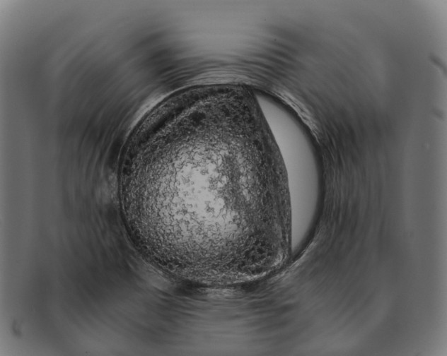 X0000091491465200709131821