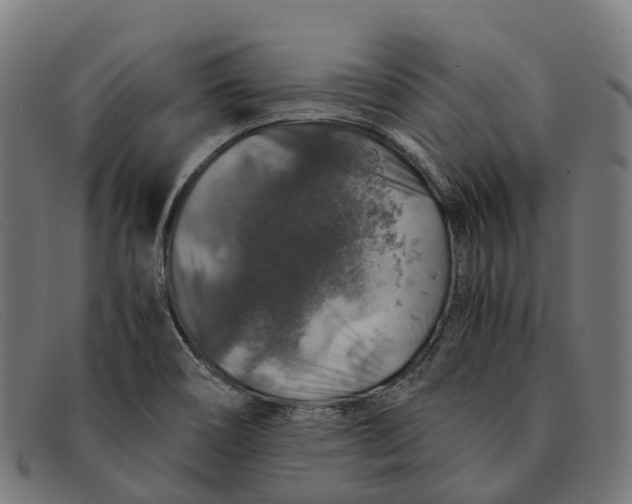 X0000091491466200709131821