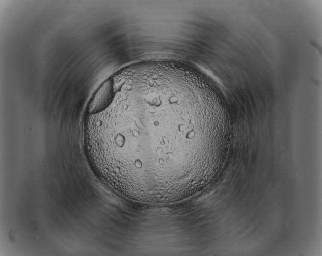 X0000091491467200709131821