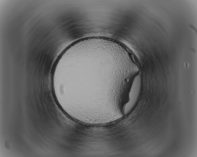X0000091491468200709131821